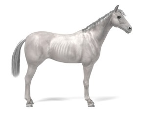 Naklejka na ściany i meble realistic 3d render of white horse