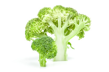 Broccoli floret isolated on a white background cutout