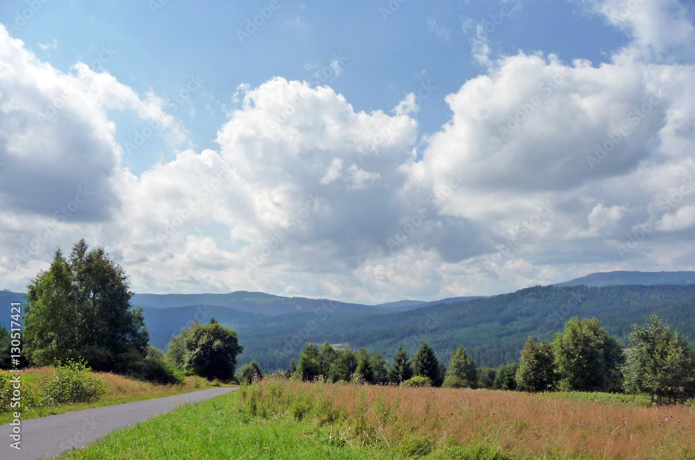 Wall mural landscape 2