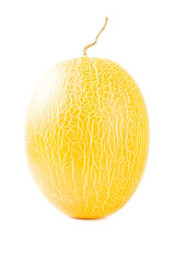 Sweet melon isolated on a white background cutout