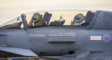 Monkey jet