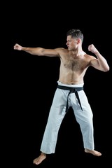 Fototapeta na wymiar Karate fighter performing karate stance