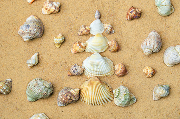 Christmas tree made of shells on the sand