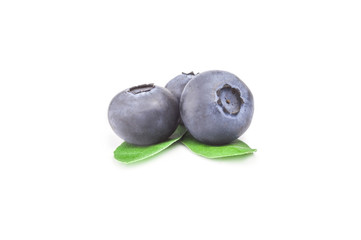 Bog bilberry isolated on a white background cutout