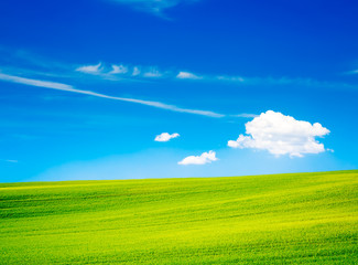Wavy Green Field on the Background of Beautiful Blue Sky and White Clouds. Countryside Landscape in Summer. Peaceful and Calm Scenery. Toned Photo with Copy Space. - 130519499