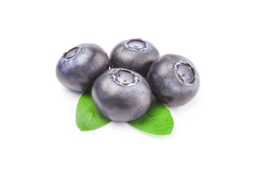Bilberry isolated on a white background cutout
