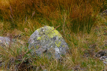 A beautiful details of landscape in Tatry, Slovakia