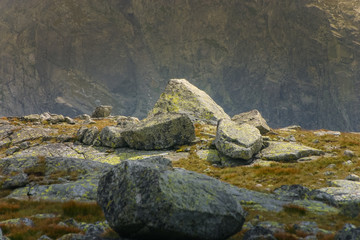 A beautiful details of landscape in Tatry, Slovakia