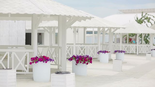 Violets in a pot. Colorful decorative flowers in white pot in restaurant. Decorated with flowers outdoor cafe. The scenery and landscaping with flowers.
