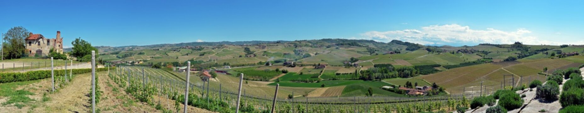 Vineyards of Alba, Langhe and Roero © Alessandro Cristiano