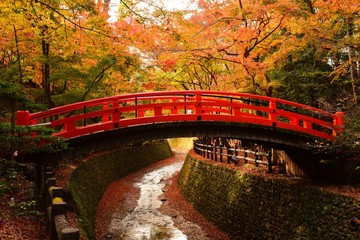 日本　京都　北野天満宮の紅葉