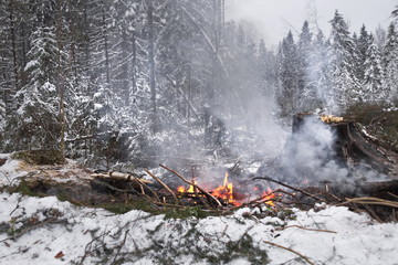 сжигание веток на делянке в лесу зимой