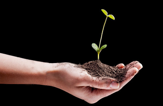 Soy in hand, background black