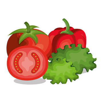 tomatoes and letuce fresh vector illustration design
