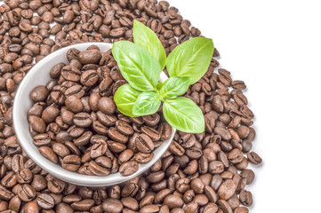 Roast coffee on a white background. Clipping path