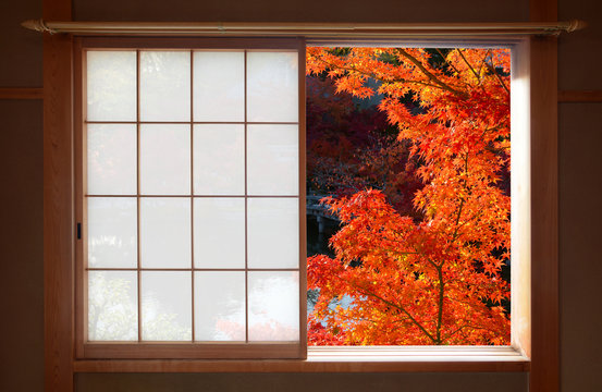 Open Japanese Sliding Window And Bright Red Fall Maple Leaves