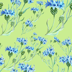 Seamless pattern. Cornflowers. Collage of flowers and leaves. Watercolor. Use printed materials, signs, items, websites, maps, posters, postcards, packaging.