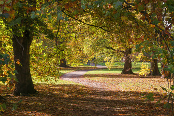 Fototapeta na wymiar Waldweg in Herbstfarben