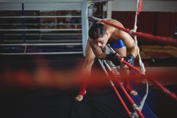 Fototapeta na wymiar Boxer entering in boxing ring