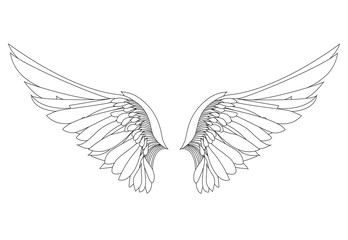 Obraz premium Skrzydełka. Ilustracja wektorowa na białym tle. Czarny i biały