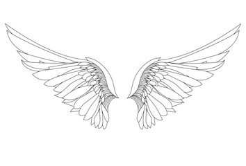 Wings. Vector illustration on white background. Black and white