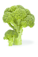 Broccoli floret isolated on a white background cutout