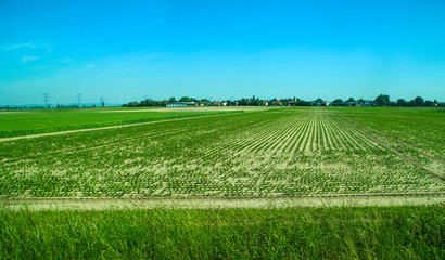 Wind turbines on the green field under blue sky