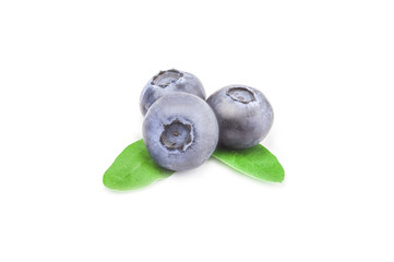 Great bilberry isolated on a white background cutout
