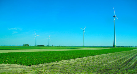 Wind turbines on the green field under blue sky