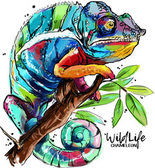 Chameleon wildlife painting © Kajenna
