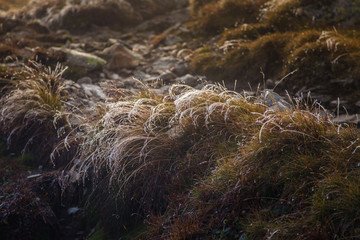 A beautiful frosty mountain landscape above tree line