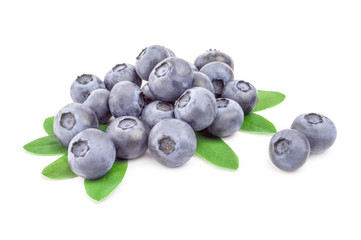 Bogbilberry isolated on a white background cutout