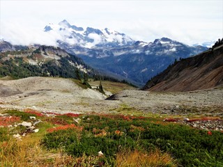 The view of Mount Shuksan and valley in fall