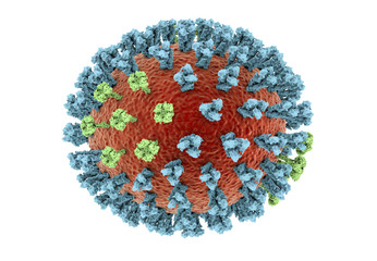 Influenza virus. 3D illustration showing surface glycoprotein spikes hemagglutinin green and neuraminidase purple