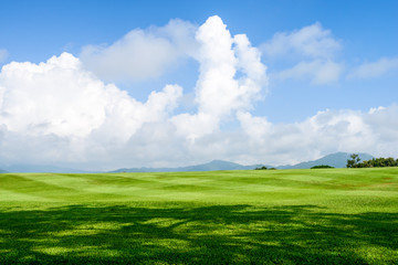 Obraz premium grass field background