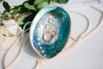 Wedding rings in a shell