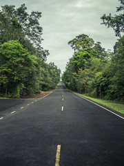 Straight Highway in forest.