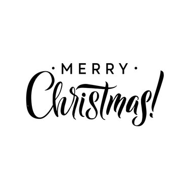 Merry Christmas Calligraphy Template. Greeting Card Black Typography on White Background. Vector Illustration Hand Drawn Lettering