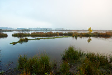 Großes Torfmoor (Hiller Moor)