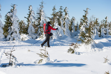 Na biegówkach przez Żmijowiec w Masywie Śnieżnika, Kotlina Kłodzka