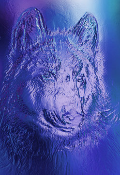 magical space wolf, multicolor computer graphic collage. Metal and glass effect.