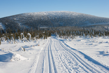 Droga przez Żmijowiec z widokiem na Śnieżnik, Kotlina Kłodzka