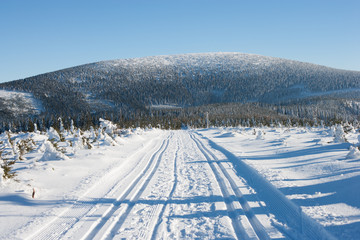 Fototapeta na wymiar Droga przez Żmijowiec z widokiem na Śnieżnik, Kotlina Kłodzka