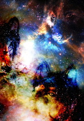 magical space wolf, multicolor computer graphic collage.