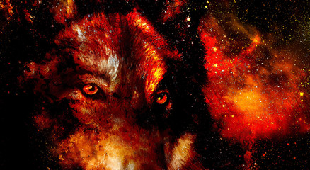 magical space wolf, multicolor computer graphic collage. Space fire. © jozefklopacka
