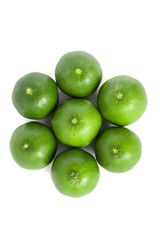Green lemons isolated background