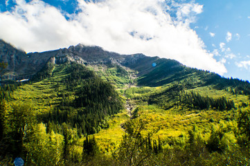 Glacier National Park - Mountains and Forests