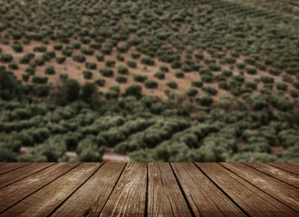 Mesa de madera con olivos de fondo - 130535080