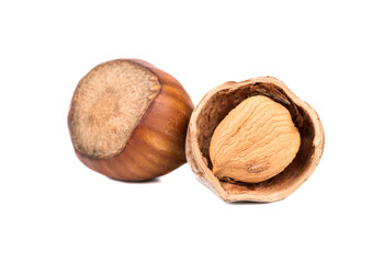 Hazelnut in shell