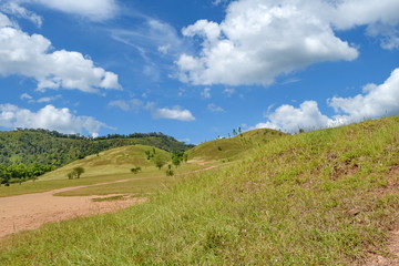 Fototapeta na wymiar Phu-khao-ya-grass-hill-in-Ranong Thailand